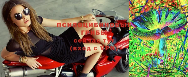 стафф Алзамай