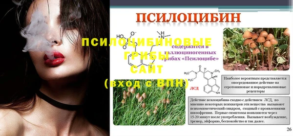 стафф Алзамай