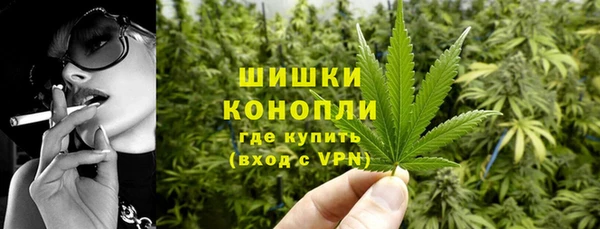 бошки Алексин