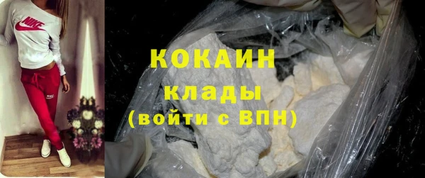 стафф Алзамай
