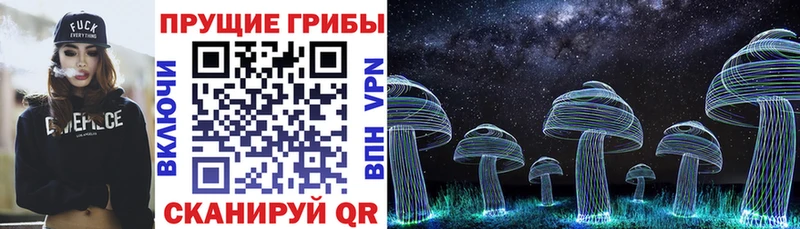 дарк нет клад  Коряжма  Галлюциногенные грибы GOLDEN TEACHER 