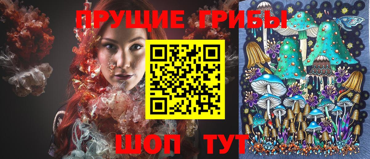 Галлюциногенные грибы мицелий  где найти   Коряжма  Вход с VPN  Псилоцибиновые грибы MAGIC MUSHROOMS 